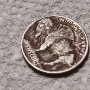 1913 type 1 buffalo raised ground buffalo